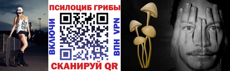 Псилоцибиновые грибы ЛСД mega как зайти Шебекино купить