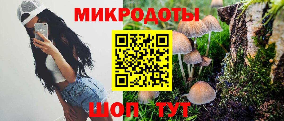 Галлюциногенные грибы GOLDEN TEACHER  Псилоцибиновые грибы GOLDEN TEACHER  Шебекино  Вход с VPN 